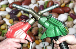 Неожиданную причину роста цен на продукты озвучили аналитики