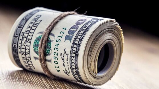 Лучшую валюту для сбережений в ближайший год назвал эксперт