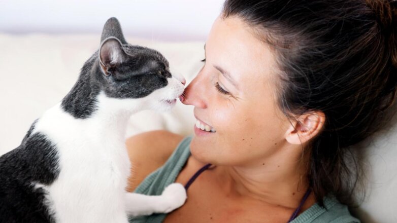 Человек и кошка: ученые назвали семь причин завести пушистого друга
