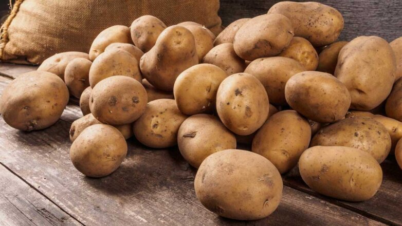 Для богатого урожая: как подготовить клубни картофеля к посадке