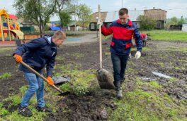 «Кузбассразрезуголь» высаживает ели