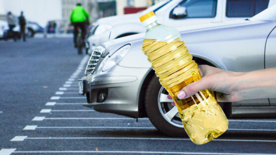 Как водители используют в автомобиле подсолнечное масло, рассказал эксперт