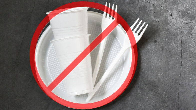 В России решили отказаться от пластиковой посуды и контейнеров для еды