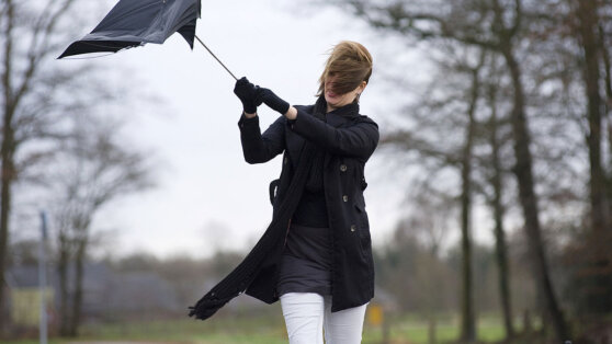 Жителей Москвы предупредили о ветре до 25 м/с, метели и гололедице