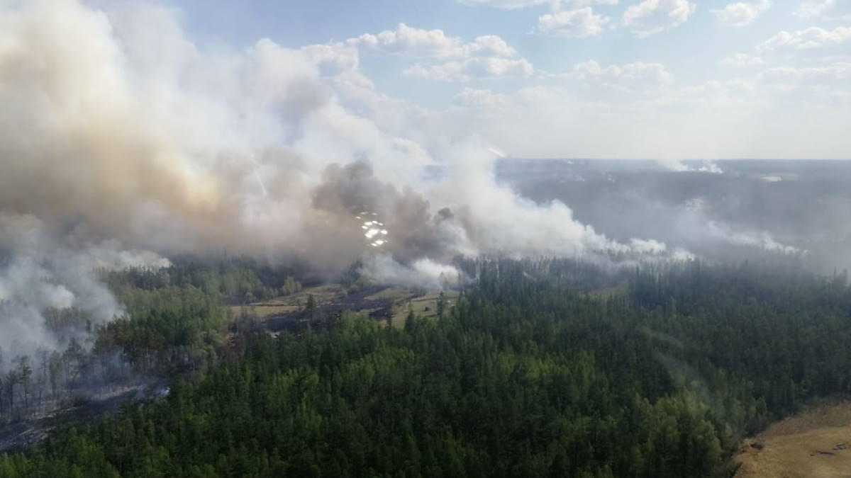 В России за сутки почти на 60 тысяч га сократилась площадь лесных пожаров