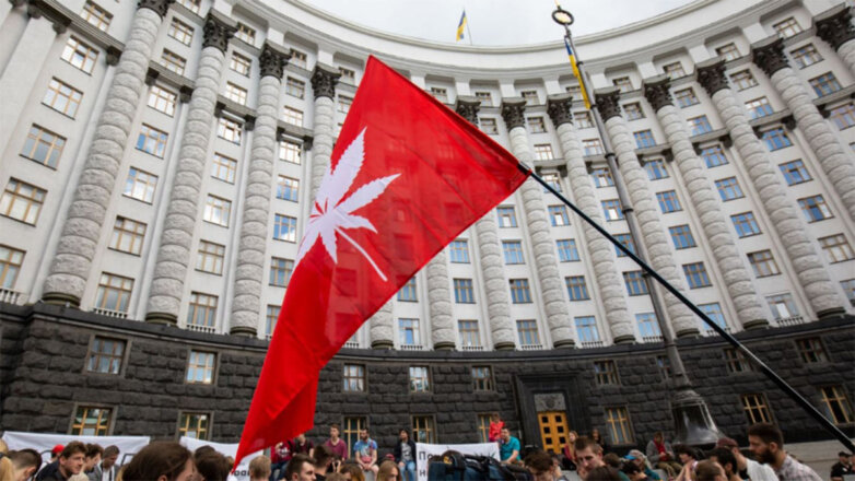 На Украине голосуют за легализацию марихуаны в медицинских целях