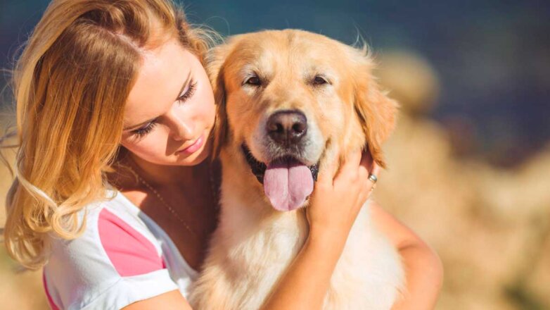 Обаятельные и привлекательные: топ-8 самых милых пород собак