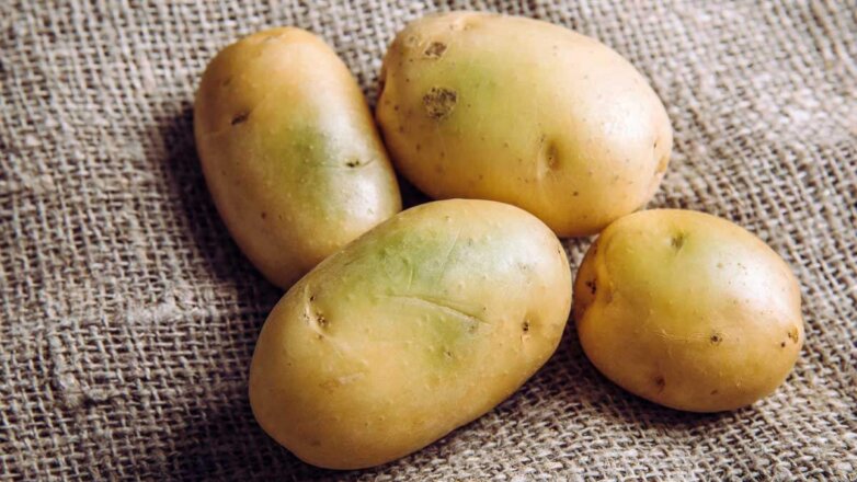 Доктор наук Мальцев предупредил об опасном заблуждении о картофеле