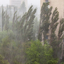 Синоптик Леус: изнуряющая жара уйдет из Москвы, циклон принесет ливни с грозами