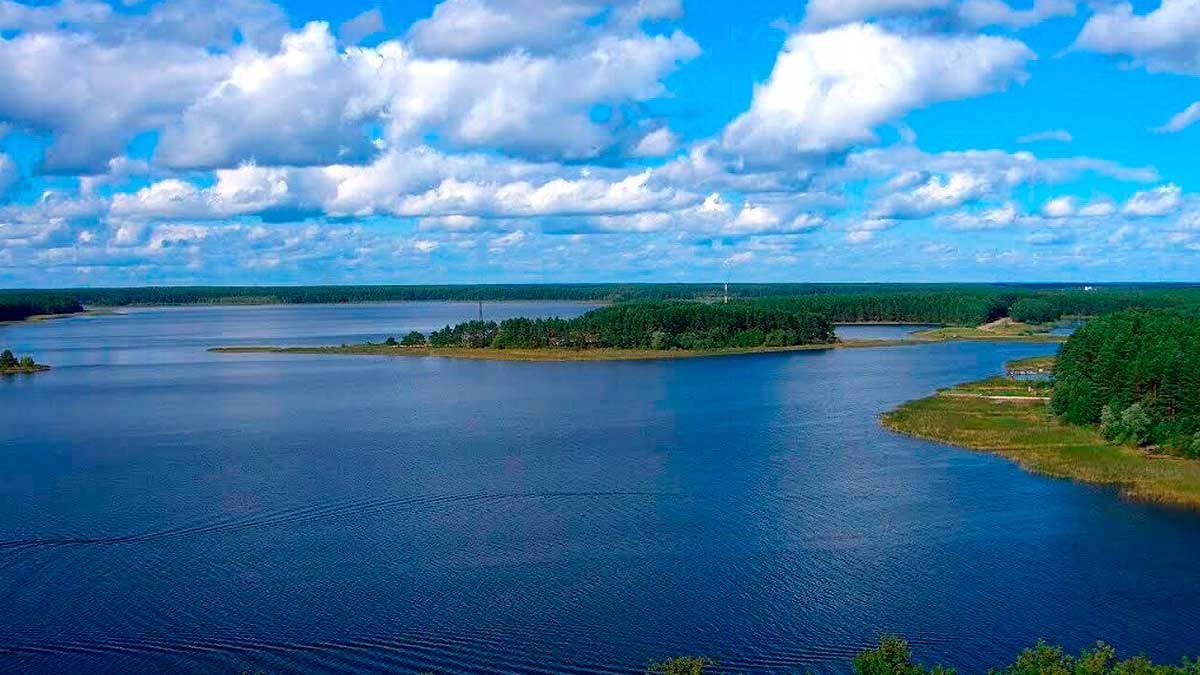 Селигер является целой системой озер с пресной водой - между собой они соединены протоками. Находится эта система в Тверской области. Кроме того, озеро окружено елово-сосновым бором.
