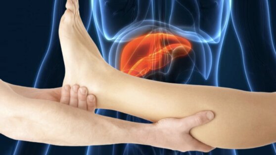 Симптомы жировой болезни печени: четыре первых признака поврежденного органа