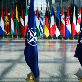 Президент Чехии: саммит НАТО в Вашингтоне не примет решение о членстве Украины