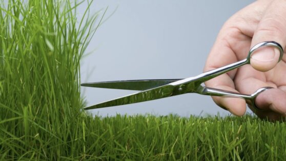 Что нужно успеть на даче в июне: список важных дел