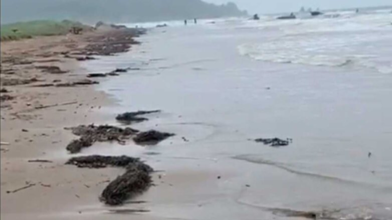 На побережье Сахалина обнаружили следы нефтепродуктов