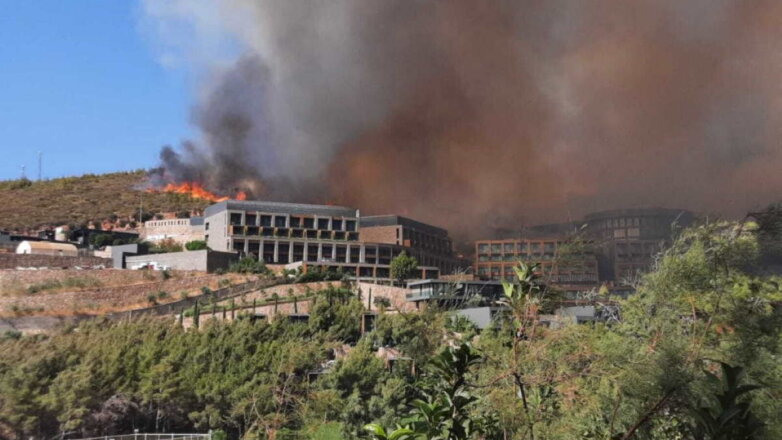 Из-за лесных пожаров в турецком Бодруме эвакуировали постояльцев отелей