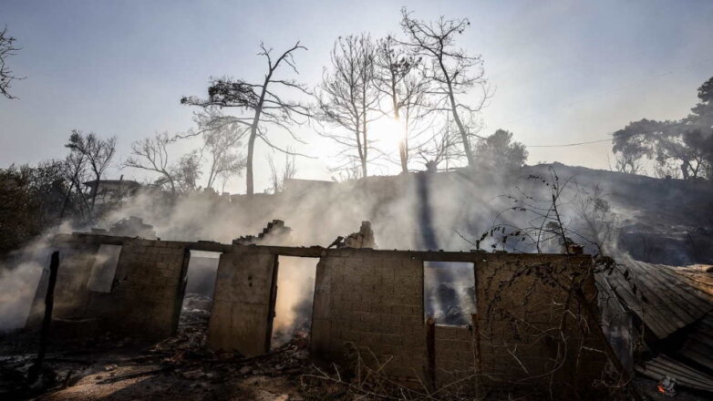 Подозреваемого в поджогах лесов задержали в Турции