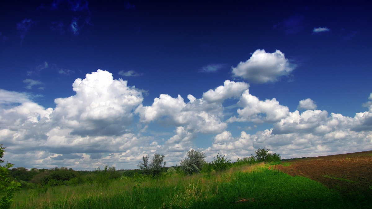 Кучевые облака предсказывают теплую погоду без осадков