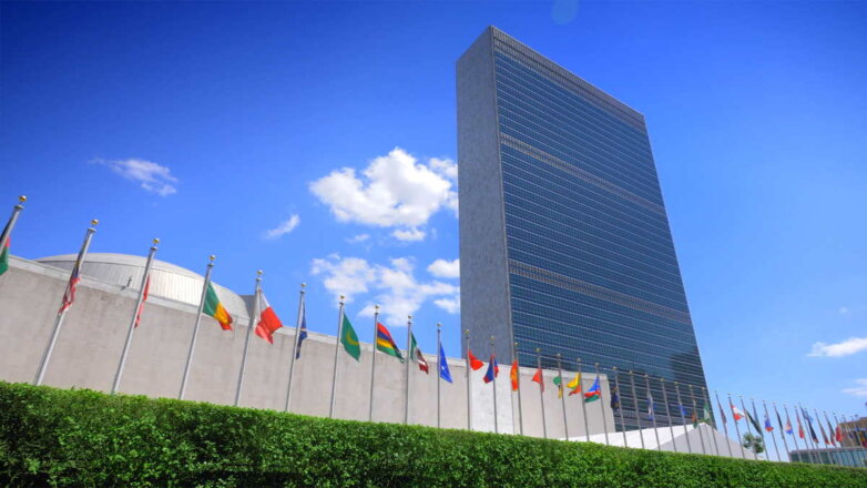 Россия внесла в ООН проект конвенции о борьбе с киберпреступностью