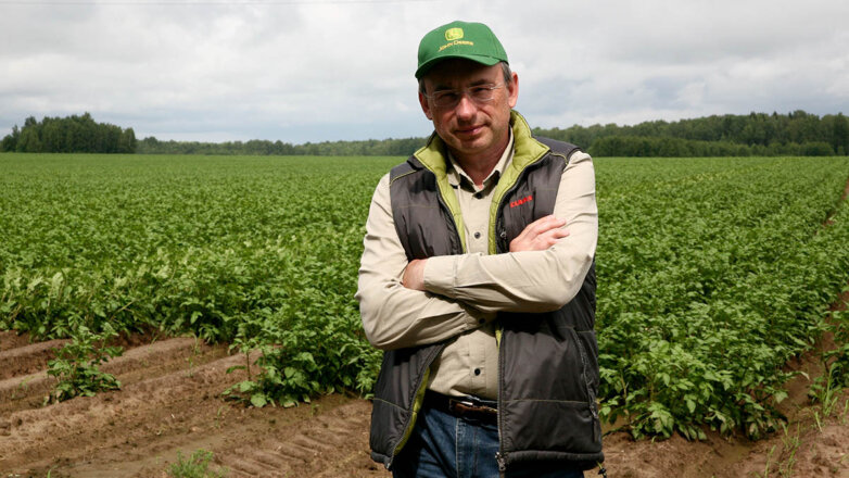 Слагаемые картофельного успеха: как экс-чиновник и бизнесмен стал крупным сельхозпроизводителем