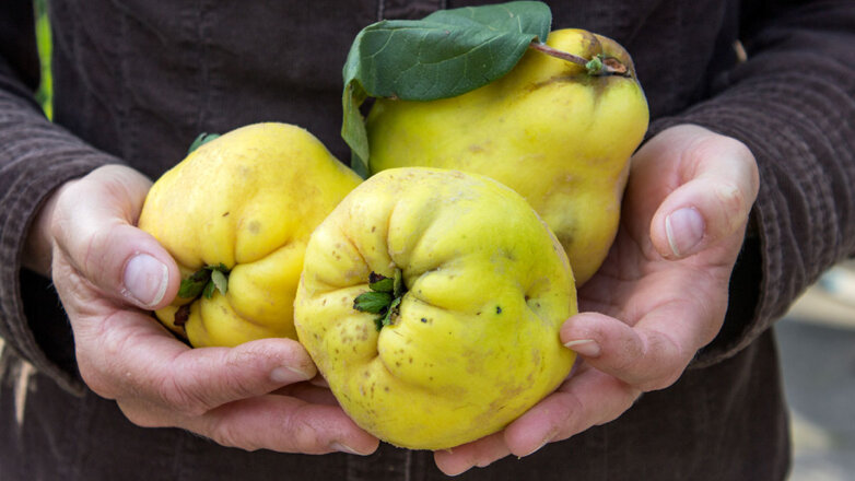 Для долголетия и от болезней кишечника: простой фрукт оказался одним из самых полезных