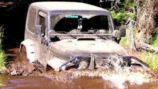 Отдых без запретов: какие штрафы ждут за автомобиль у водоема