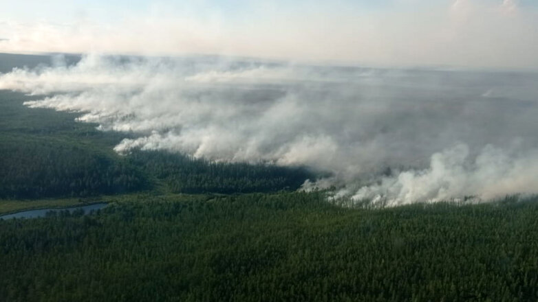 За сутки площадь лесных пожаров в РФ выросла на 10%