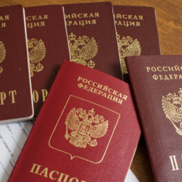 В Госдуме предложили выдавать мигрантам гражданство только после уплаты 10 млн налогов