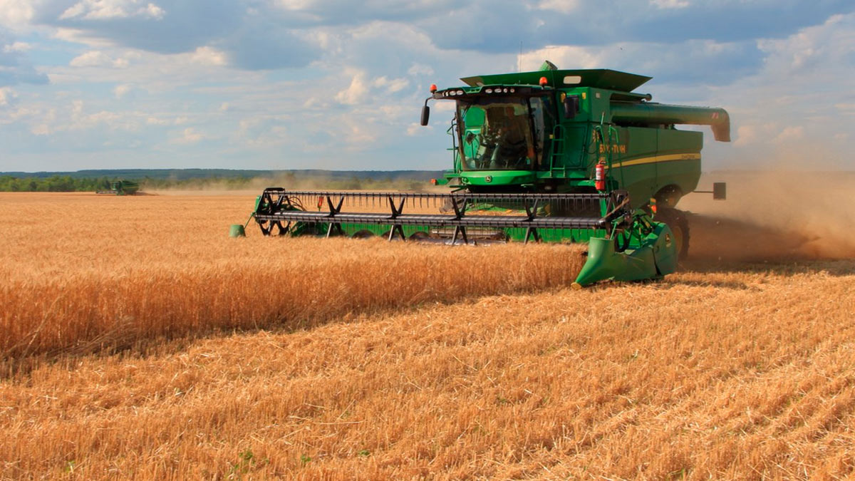 Во ВШЭ оценили пользу контрсанкций для сельского хозяйства России