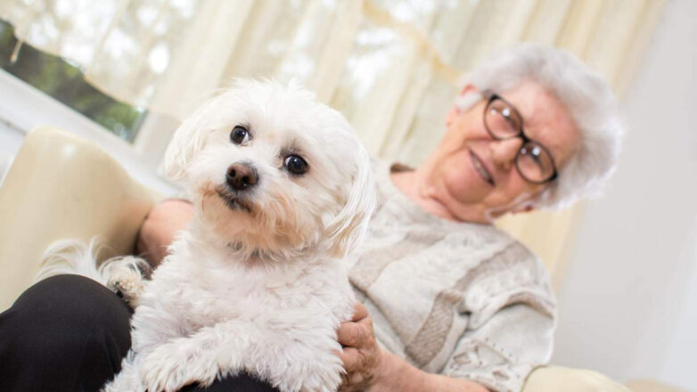 Собаки для пожилых: какие породы подойдут людям в преклонном возрасте