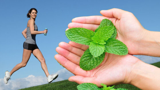 От депрессии и усталости: названы неожиданные свойства мяты