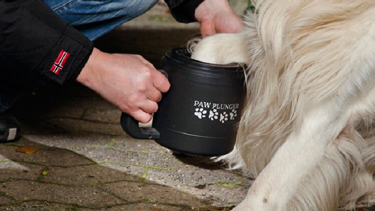 Речь идет об альтернативе тазикам и ведрам, в которых собакам часто моют лапы после прогулки