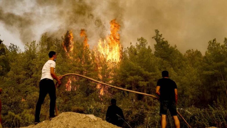 Турция лесной пожар