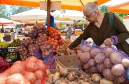 Цены на овощи "борщевого набора" за год снизились на 24,8% – Руспродсоюз