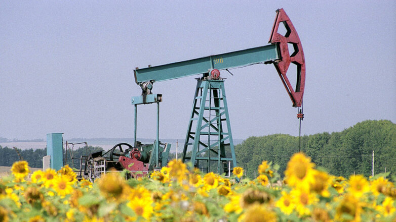 СМИ: ОПЕК+ намерена сохранить текущий темп добычи нефти