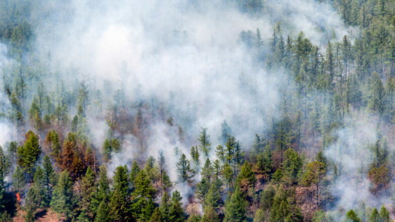 Природные пожары зафиксированы в 21 регионе России