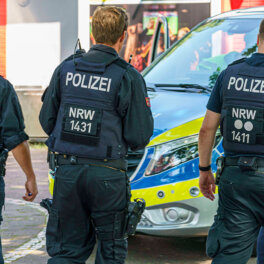 Мужчина с киркой угрожал полицейским в Гамбурге во время Евро-2024