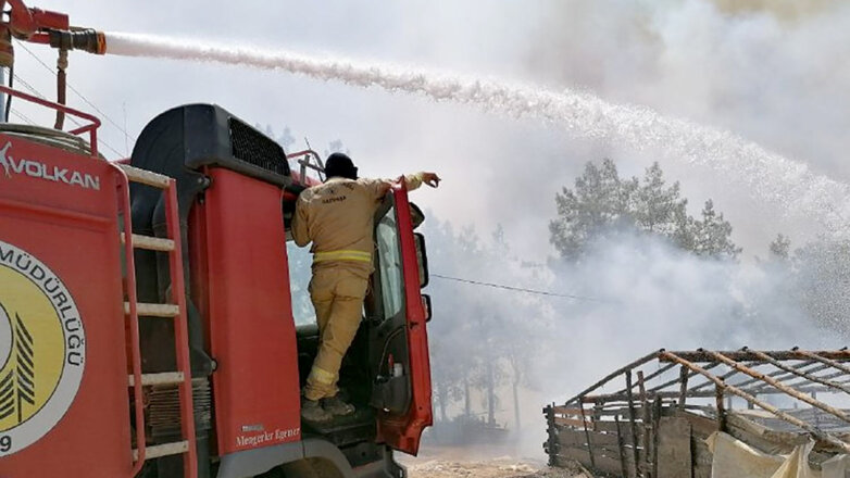 В Турции рассказали о количестве потушенных пожаров