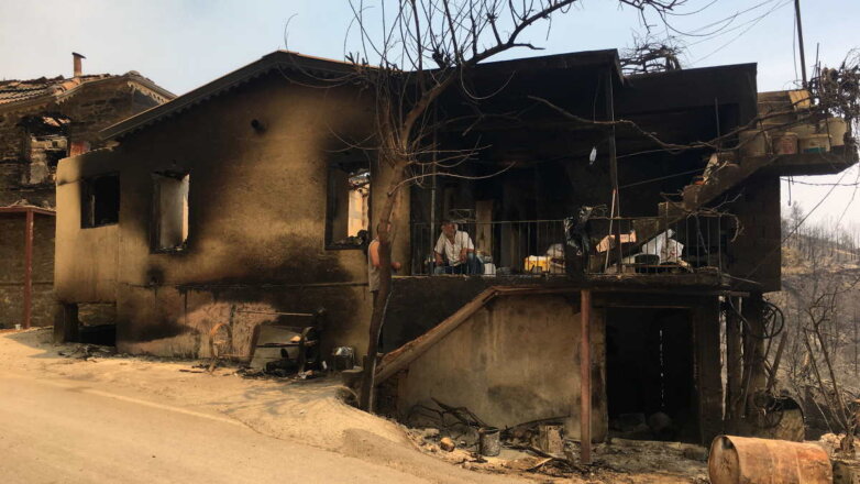 От лесных пожаров в Турции пострадали около 80 населенных пунктов