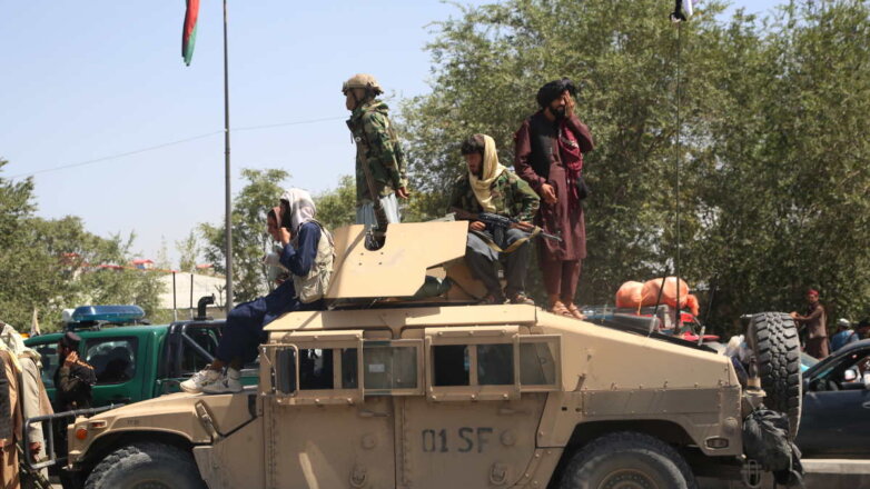Талибы дождались приказа атаковать и направили бойцов в Панджшер