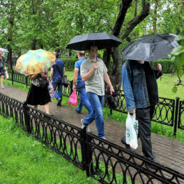 Прохлада и дожди пришли на Северо-Запад России после аномальной жары