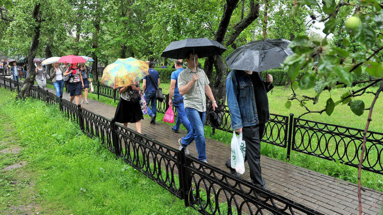 Новый рекорд и до половины месячной нормы осадков: погода в Москве 12 августа