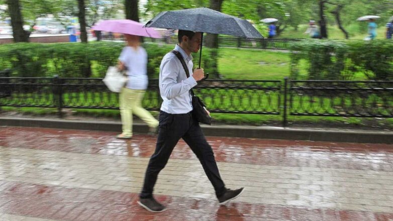 Снижение температуры и дождь ожидаются в Москве 15 июня