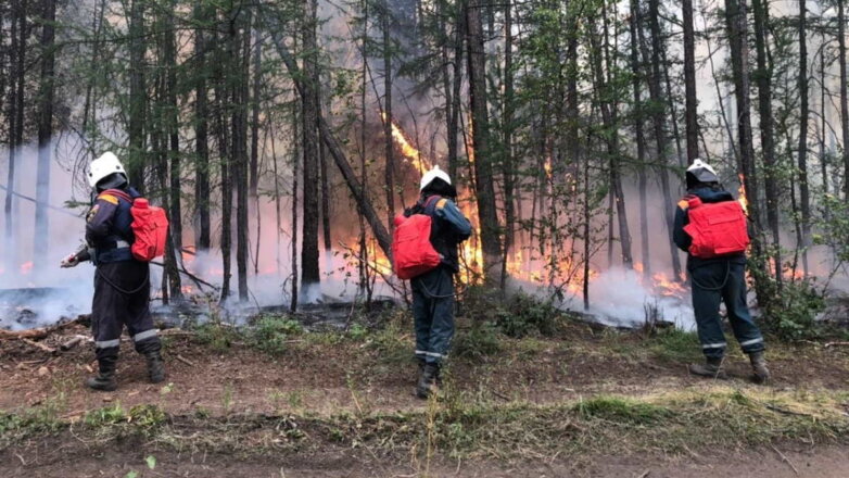 В России выявили 112 очагов лесных пожаров