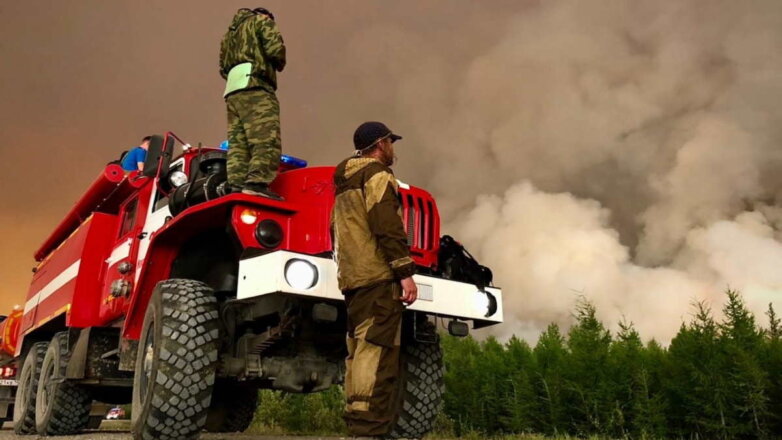 Площадь лесных пожаров в России выросла почти до 179 тысяч гектаров