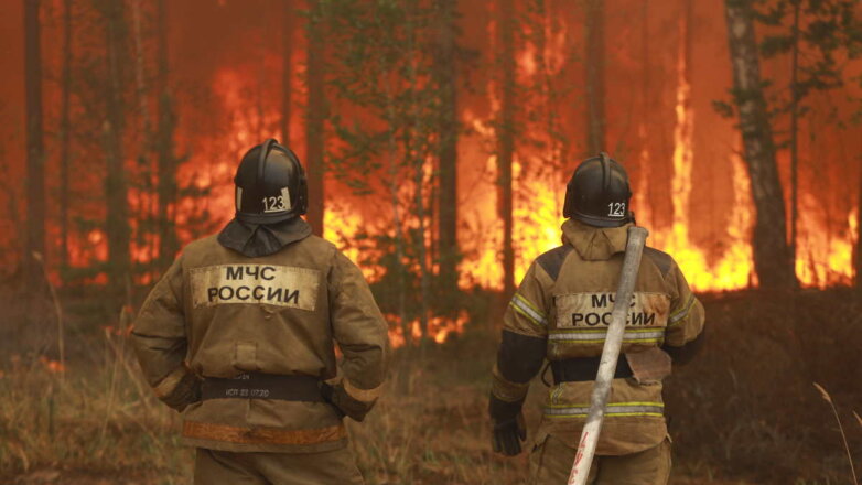 Обстановка с пожарами в Рязанской области может осложниться в любой момент