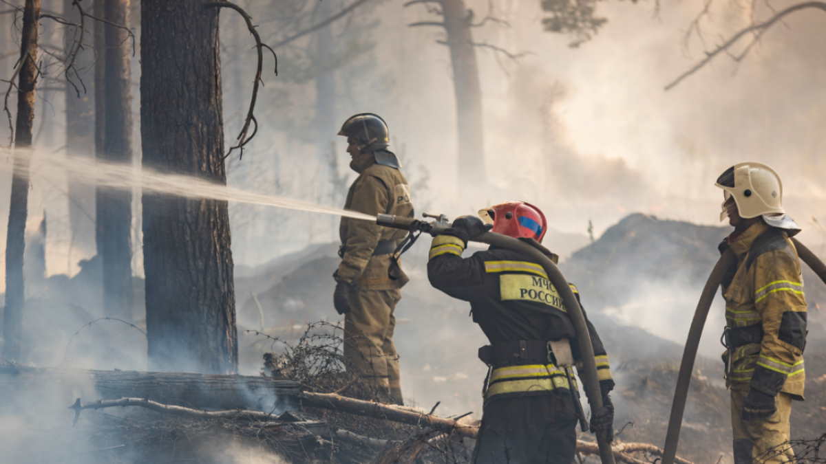 В России за сутки потушили более 40 лесных пожаров