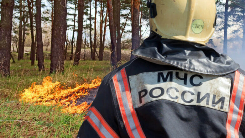 В 56 регионах РФ ввели особый противопожарный режим