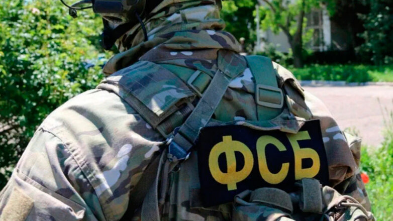 ФСБ сорвала операцию украинской военной разведки по угону самолетов ВКС России