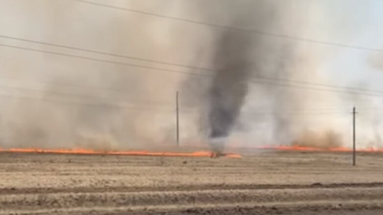 В Башкирии удалось снять на видео огненное торнадо