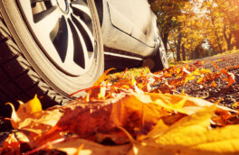 Как подготовить автомобиль к осени: четыре совета водителям